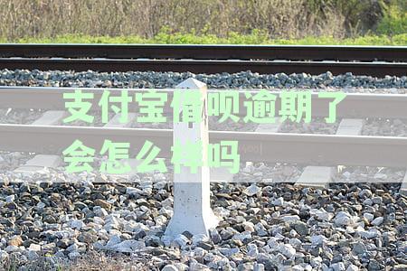 支付宝借呗逾期还款影响及芝麻信用变化分析