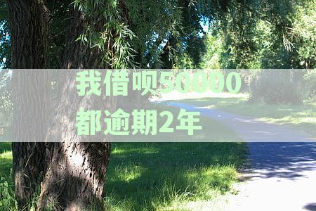 我借呗50000都逾期2年
