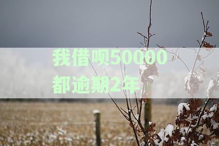 我借呗50000都逾期2年