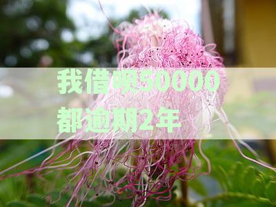 我借呗50000逾期2年涨利息吗怎么办