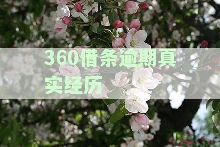 逾期真实经历