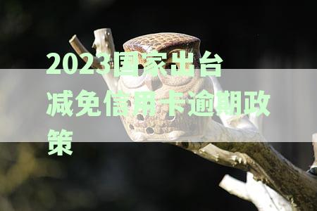 2023国家出台信用卡逾期减免政策文件通知