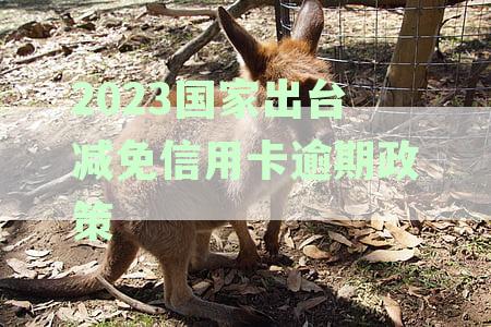 2023国家出台减免信用卡逾期政策相关批文的具体内容与实细节解读