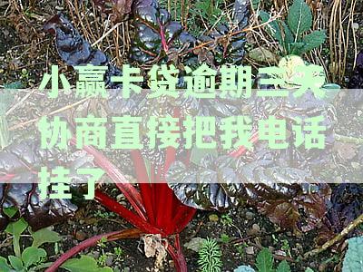 网贷逾期了怎么协商期还款：分期乐等平台操作指南及影响征信风险