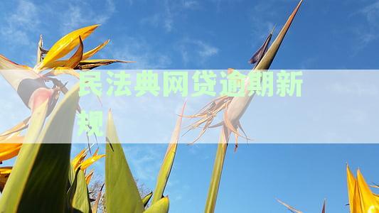 民法典网贷逾期新规2023年：关于逾期规定全解析