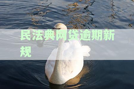 2021年民法典关于网贷逾期条款及催收规定全文