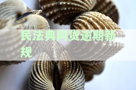 民典法关于网贷逾期规定与催收处理