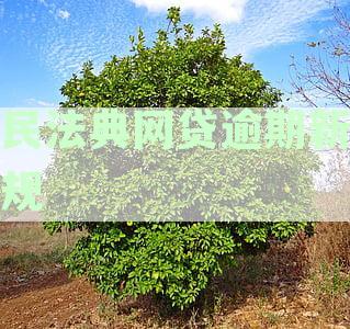 民法典网贷逾期新规