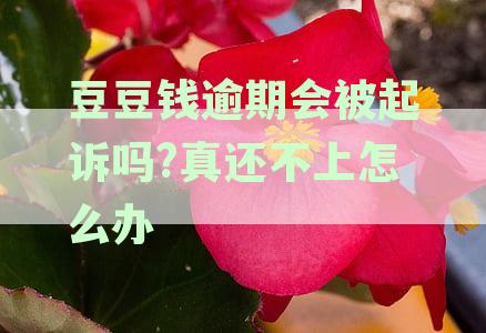 豆豆钱逾期会被起诉吗?真还不上怎么办