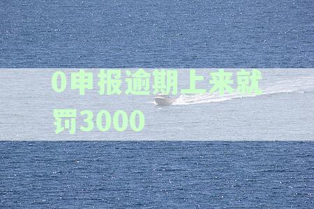 0申报逾期上来就罚3000个体 个人和企业违规处罚标准及补救措全解析
