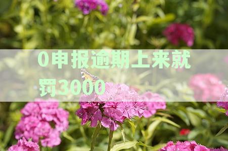 0申报逾期上来就罚3000不交罚款可以吗？个人和企业逾期申报税务处理与罚款规定详解