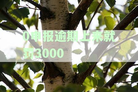 0申报逾期上来就罚多少？详解逾期申报的罚款标准及补救措