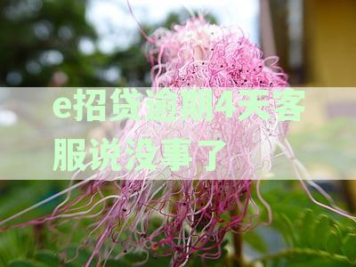 e招贷逾期4天才提醒：监管加强、罚息明确、用户需谨