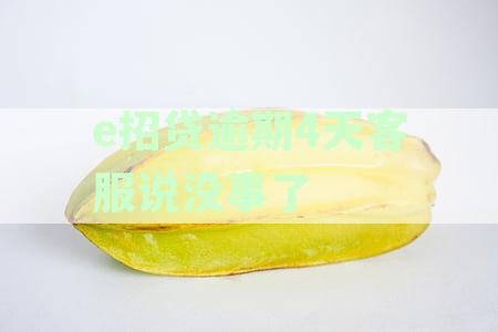 e招贷逾期四天怎么办？小心处理逾期问题