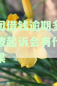 美团借钱逾期会被起诉吗？