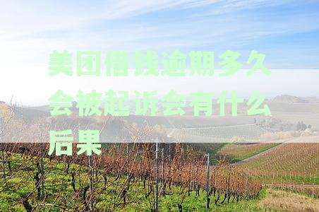 美团借钱逾期被起诉怎么办？掌握关键步骤应对诉讼