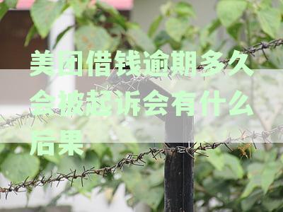 美团借钱逾期多久上征信后果有多严重,上征信时间长度及影响解析
