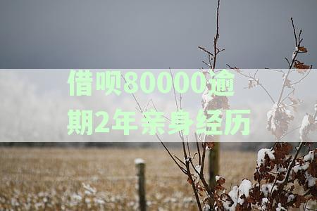 借呗80000逾期2年亲身经历：花呗借呗逾期不还法律后果分析
