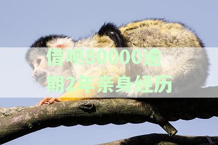 借呗80000逾期2年亲身经历：花呗借呗逾期不还会不会坐牢