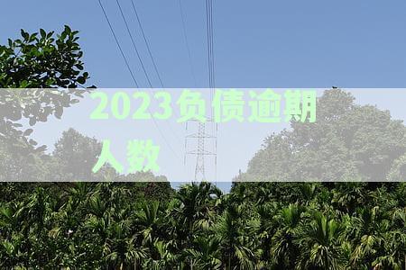 2020全国负债率与逾期率具体数据是多少