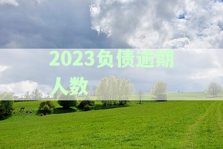 2023负债逾期人数