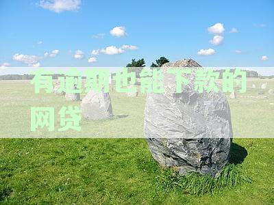 2023年有逾期也能下款的网贷口子真的存在吗？