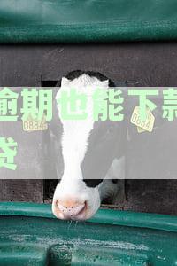2023年逾期也能下款的网贷口子推荐