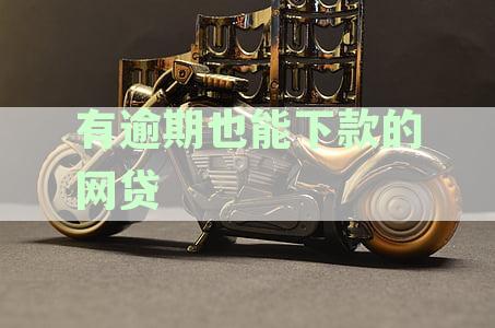 有逾期也能下款的网贷平台：安全选与口子比较