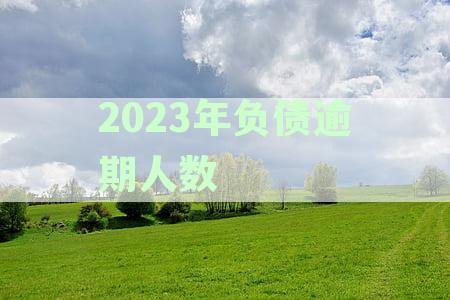 2023年负债逾期人数官方网公布：历年最高记录