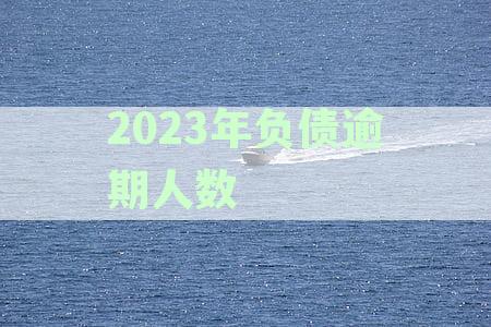 2023年负债逾期人数