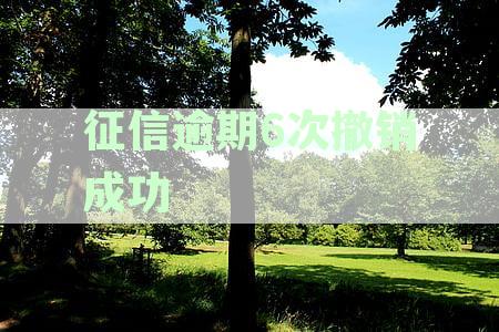 征信逾期6次撤销成功后会怎样显示,逾期撤销后多久不显示