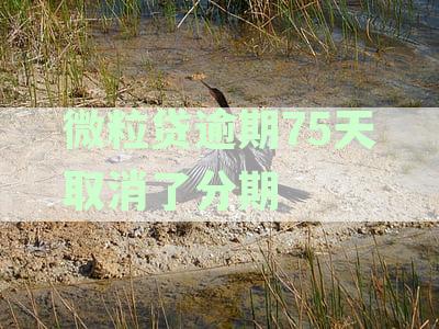 微粒贷逾期75天取消了分期后如何恢复及安全问题解决办法