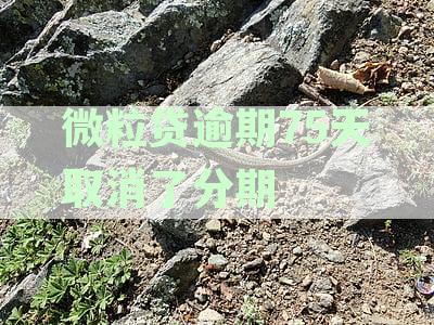 微粒贷逾期75天取消了分期怎么办，如何办理？
