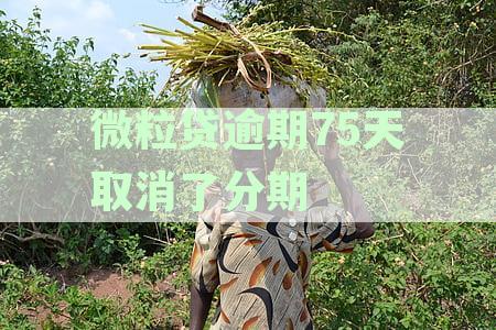 微粒贷逾期七天关闭分期还款渠道真相
