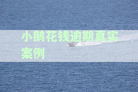 小鹅花钱逾期怎么样：逾期经历、上征信、逾期多久会坐牢