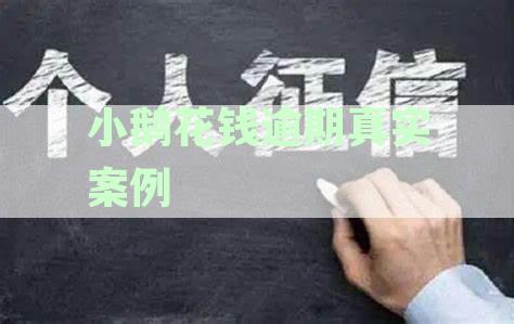 小鹅花钱逾期会暴力催收吗：逾期起诉、上征信、亲身经历分享