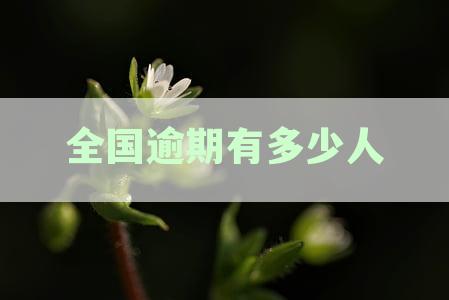 全国逾期有多少人2024：会被起诉吗？对比2020与2021数据