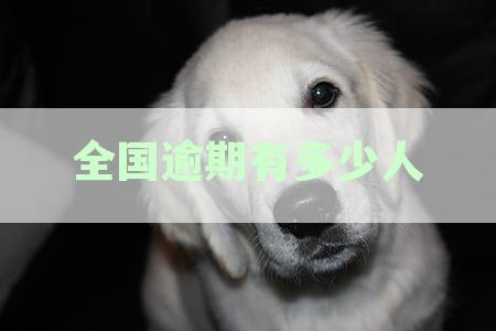 全国逾期有多少人,会被起诉吗：逾期问题解决方案概览