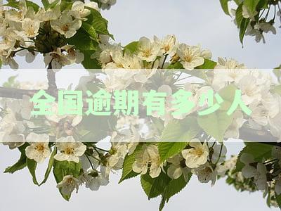 逾期多久会被列入失信人名单：网贷、信用卡对比分析