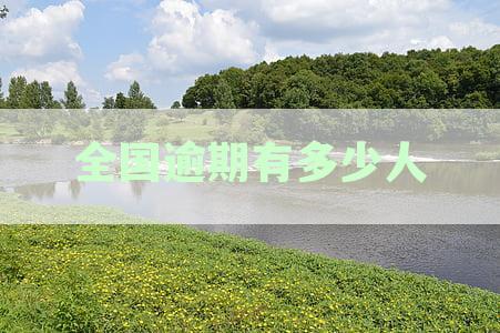 全国逾期有多少人