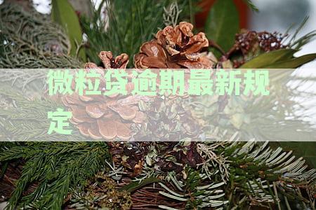 微粒贷逾期最新规定还款时间更新