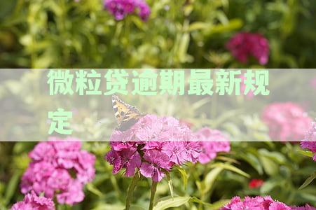 微粒贷逾期最新规定
