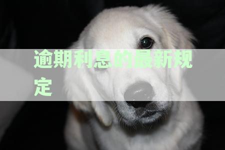 逾期利息的最新规定是什么：时间、法律表述及含义