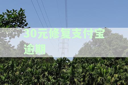 支付宝的逾期修复真的有用吗？是否安全及上征信情况解析