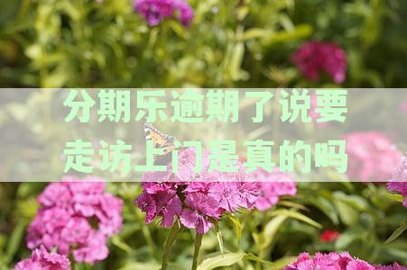 分期乐逾期了说要走访上门是真的吗最新评论
