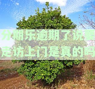 分期乐逾期了说要走访上门是真的吗
