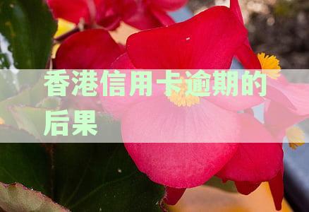 揭露办理香港信用卡的常见套路与骗局，及举报方法