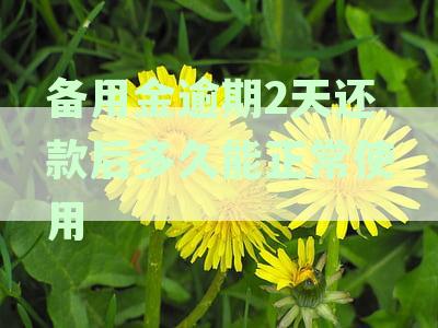 备用金逾期2天还款后,花呗多久能正常使用?能用吗