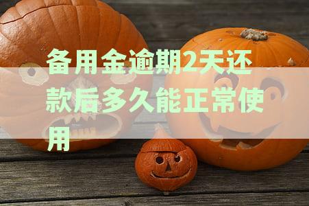 备用金逾期2天还款后,多久能正常使用呢:解决方法和原因分析