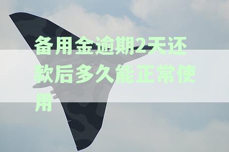 备用金逾期2天还了后多久可正常使用